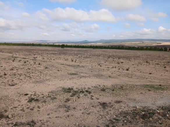 600,000 m² Land in Yecla - Caza De Casa