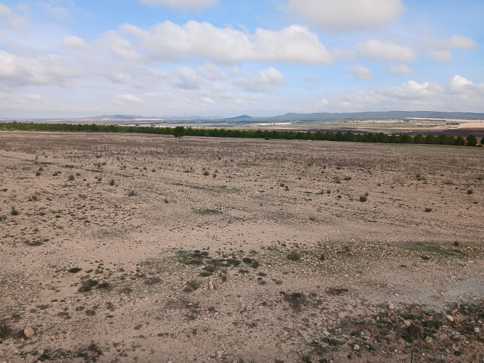 600,000 m² Land in Yecla - Caza De Casa