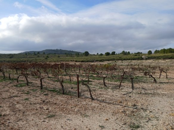 600,000 m² Land in Yecla - Caza De Casa