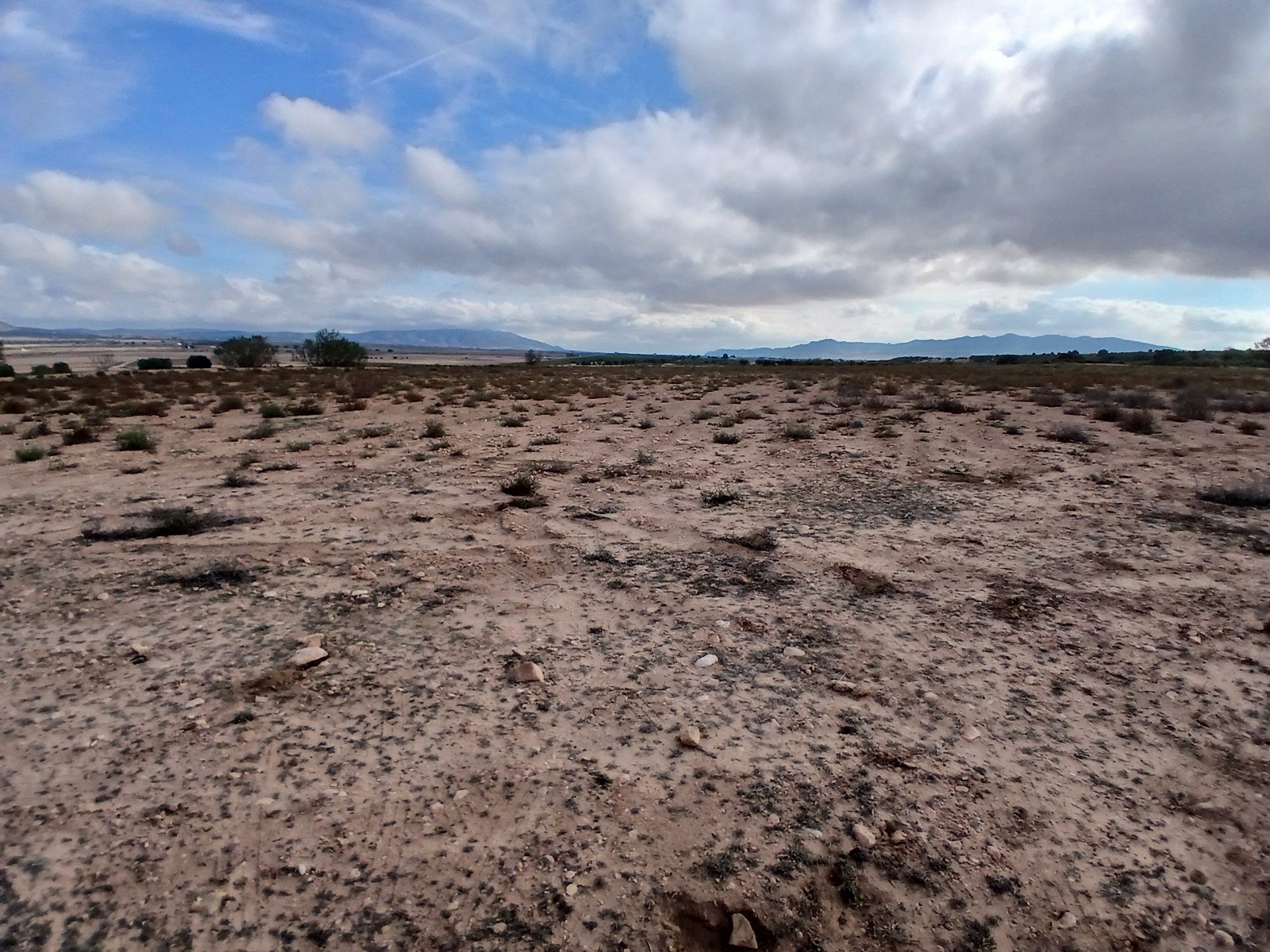 600,000 m² Land in Yecla - Caza De Casa