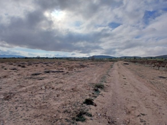 600,000 m² Land in Yecla - Caza De Casa