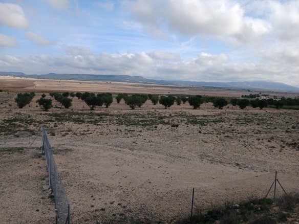 600,000 m² Land in Yecla - Caza De Casa