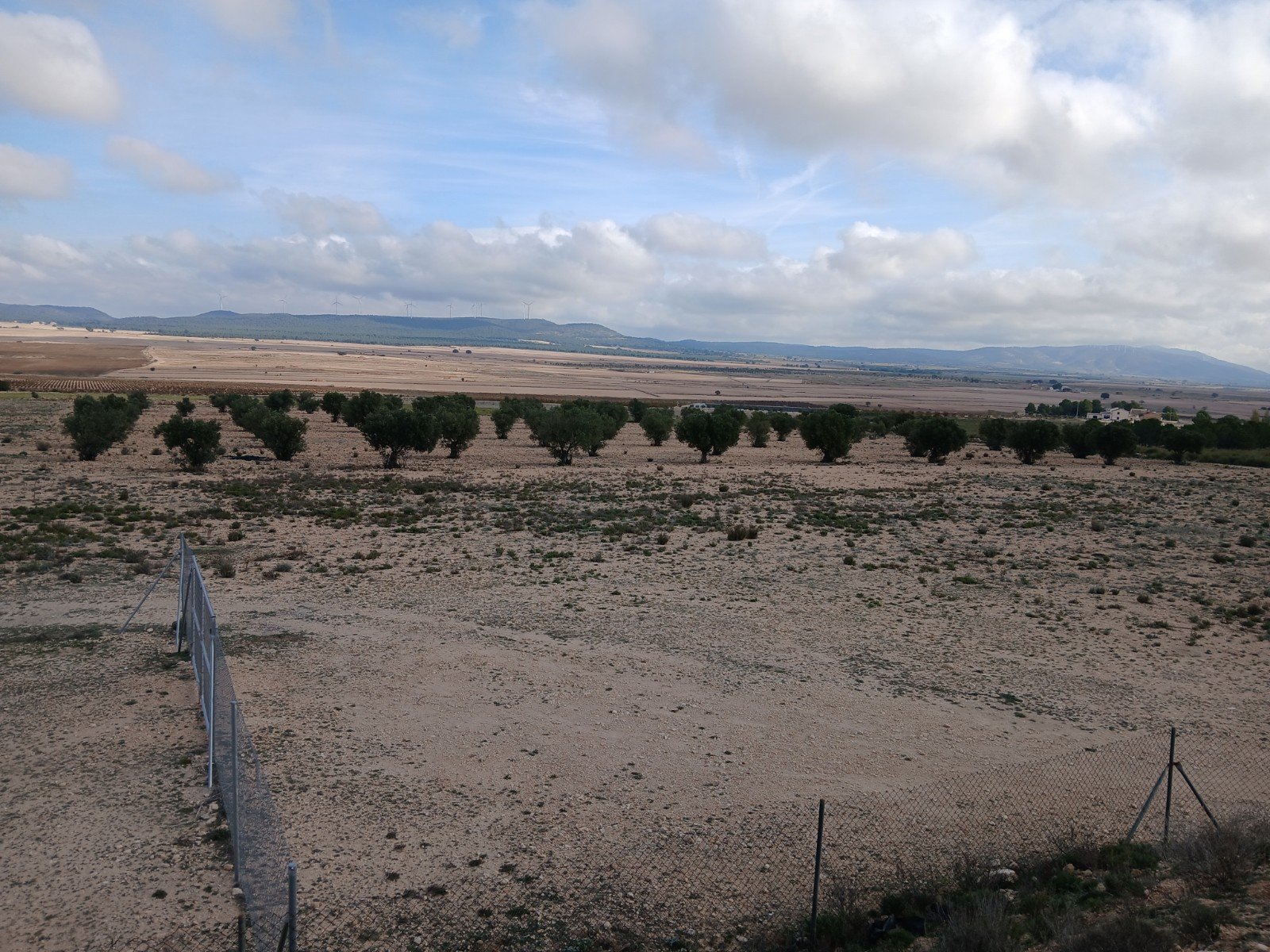 600,000 m² Land in Yecla - Caza De Casa