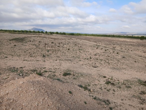 600,000 m² Land in Yecla - Caza De Casa
