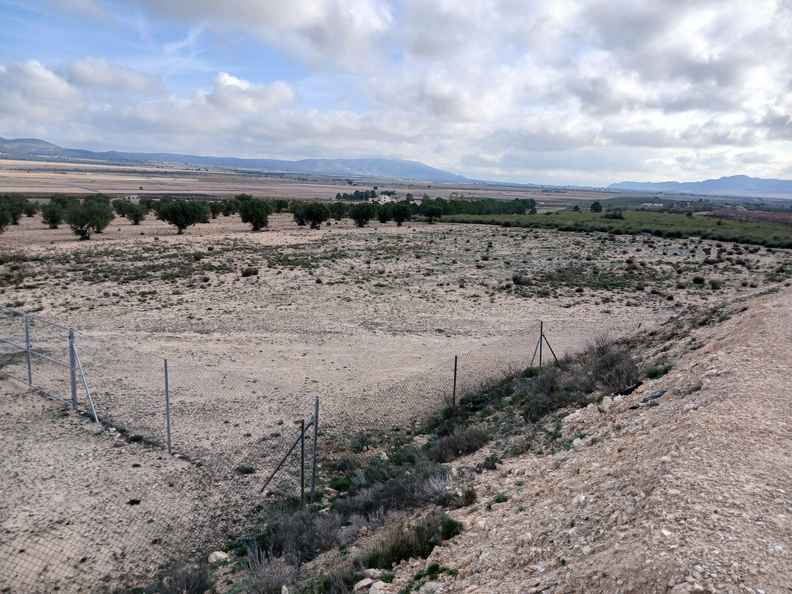 600,000 m² Land in Yecla - Caza De Casa