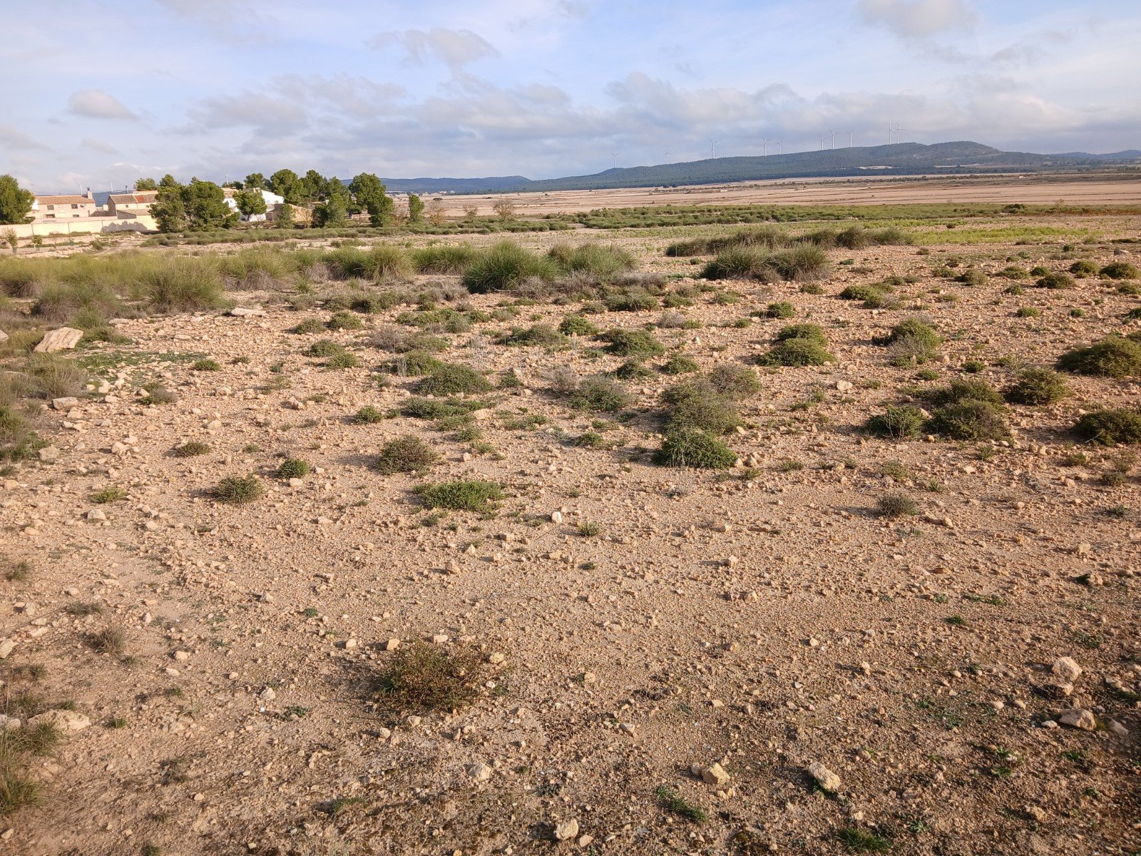 25,000 m² Land in Yecla - Caza De Casa