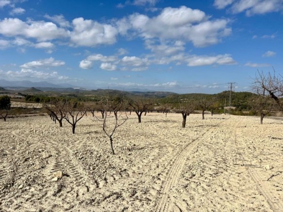 Land in Bullas - Caza De Casa