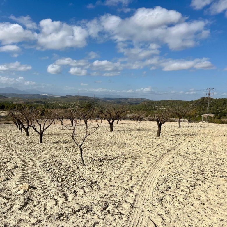 Land in Bullas - Caza De Casa