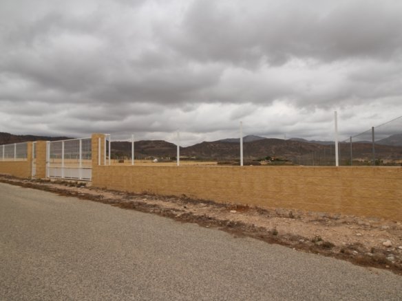 2,000 m² Land in Abanilla - Caza De Casa