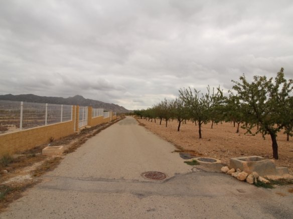 2,000 m² Land in Abanilla - Caza De Casa