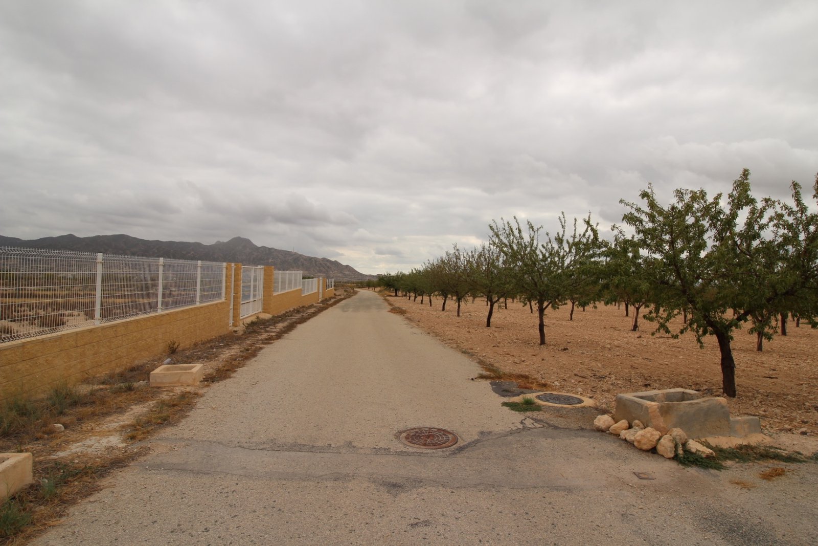 2,000 m² Land in Abanilla - Caza De Casa