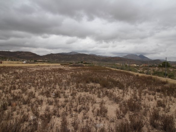 2,000 m² Land in Abanilla - Caza De Casa