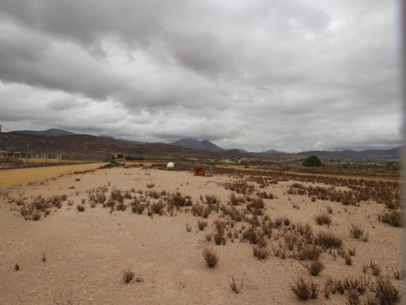 2,000 m² Land in Abanilla - Caza De Casa