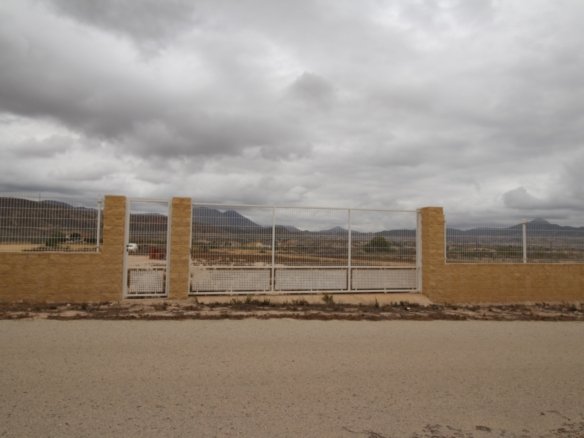 2,000 m² Land in Abanilla - Caza De Casa