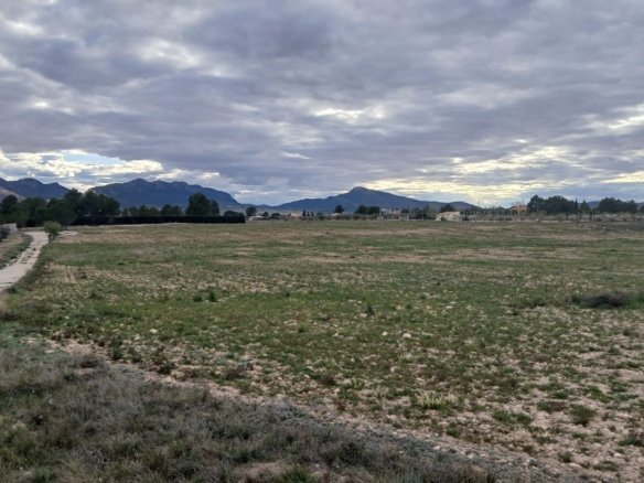 20,000 m² Land in Yecla - Caza De Casa