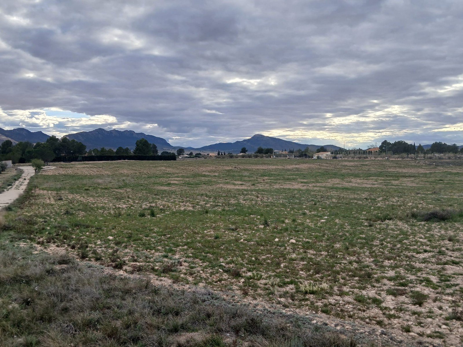 20,000 m² Land in Yecla - Caza De Casa