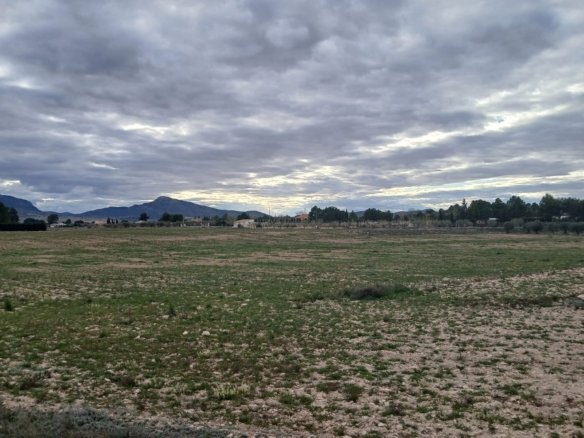 20,000 m² Land in Yecla - Caza De Casa