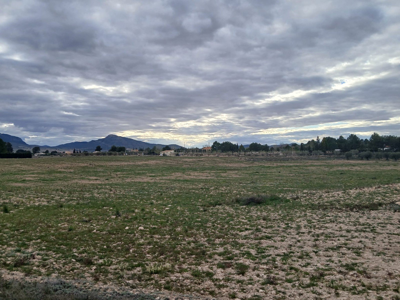 20,000 m² Land in Yecla - Caza De Casa