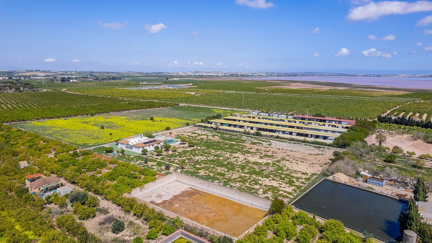 6 Bedroom 3 Bathroom Villa in Los Montesinos - Caza De Casa
