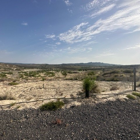 87,545 m² Land in Torremendo - Caza De Casa