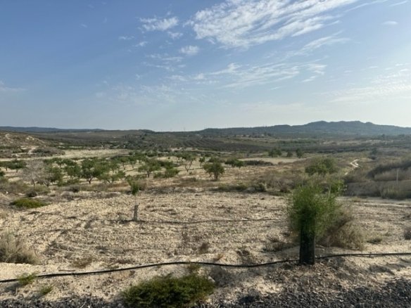87,545 m² Land in Torremendo - Caza De Casa