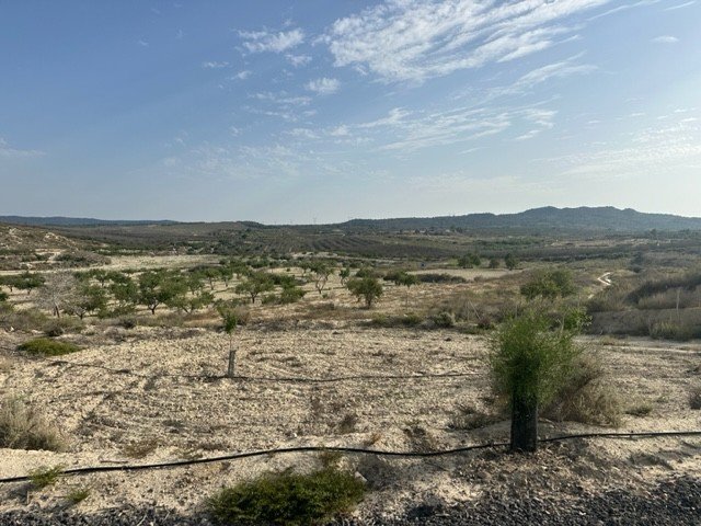 o_1j0m8ftrt7em7e61daf1usouqq1i 87,545 m² Land in Torremendo - Caza De Casa
