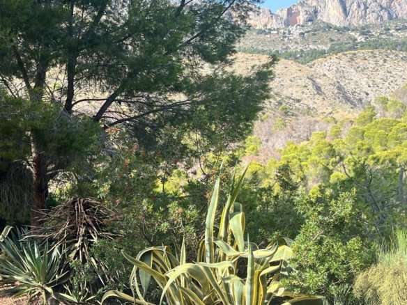 844 m² Land in Altea - Caza De Casa