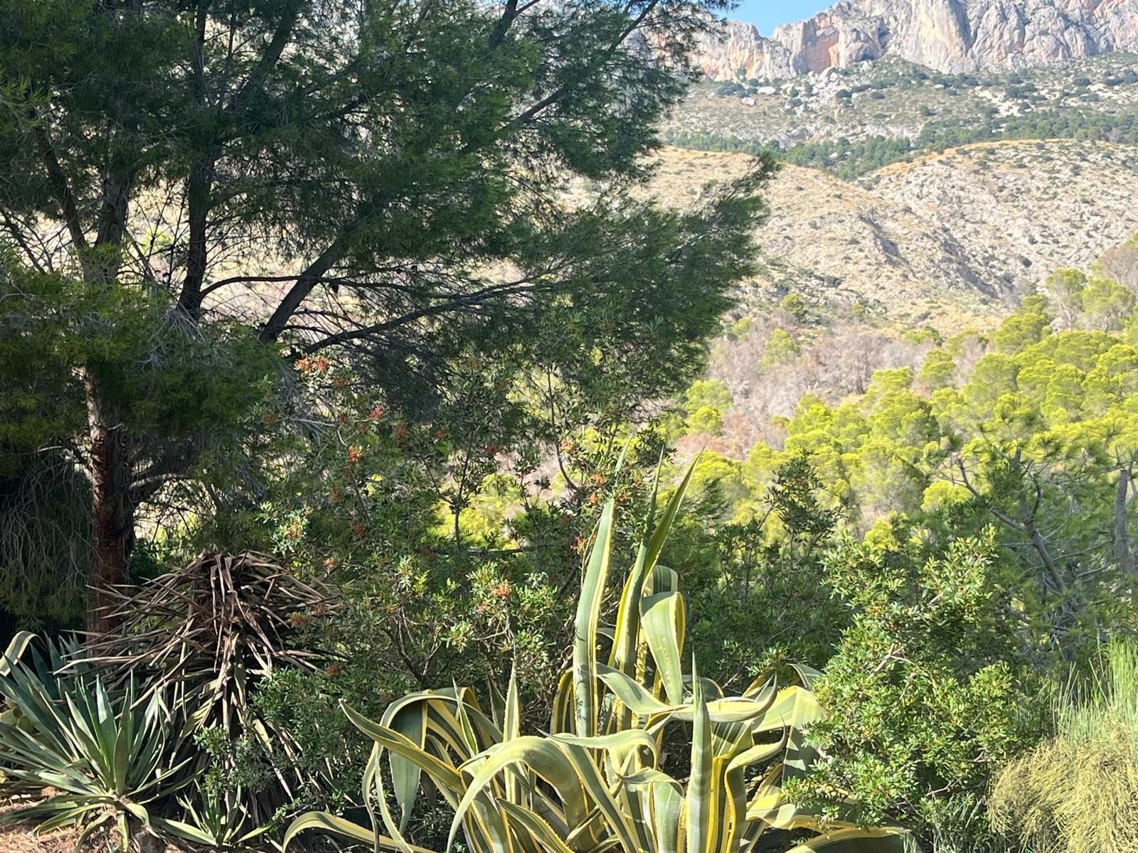 844 m² Land in Altea - Caza De Casa