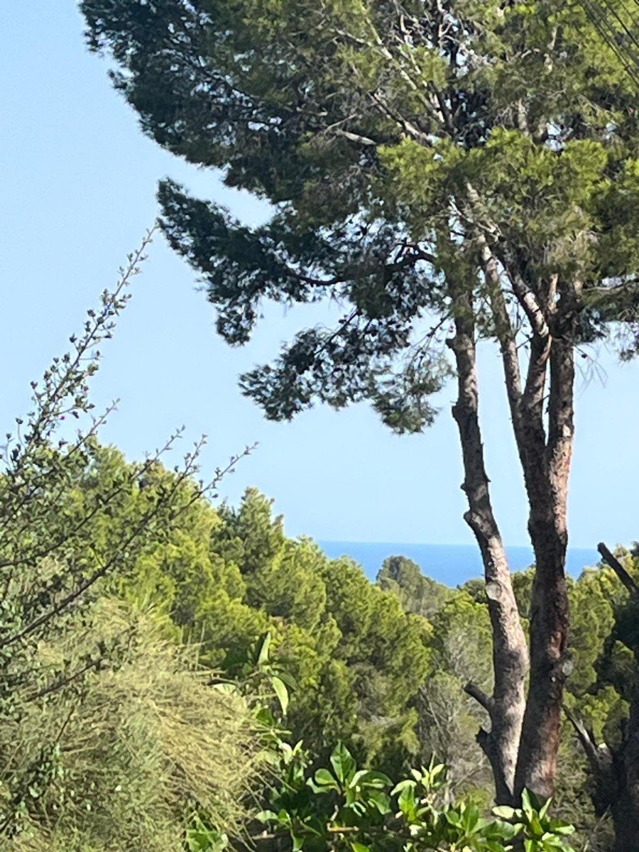844 m² Land in Altea - Caza De Casa