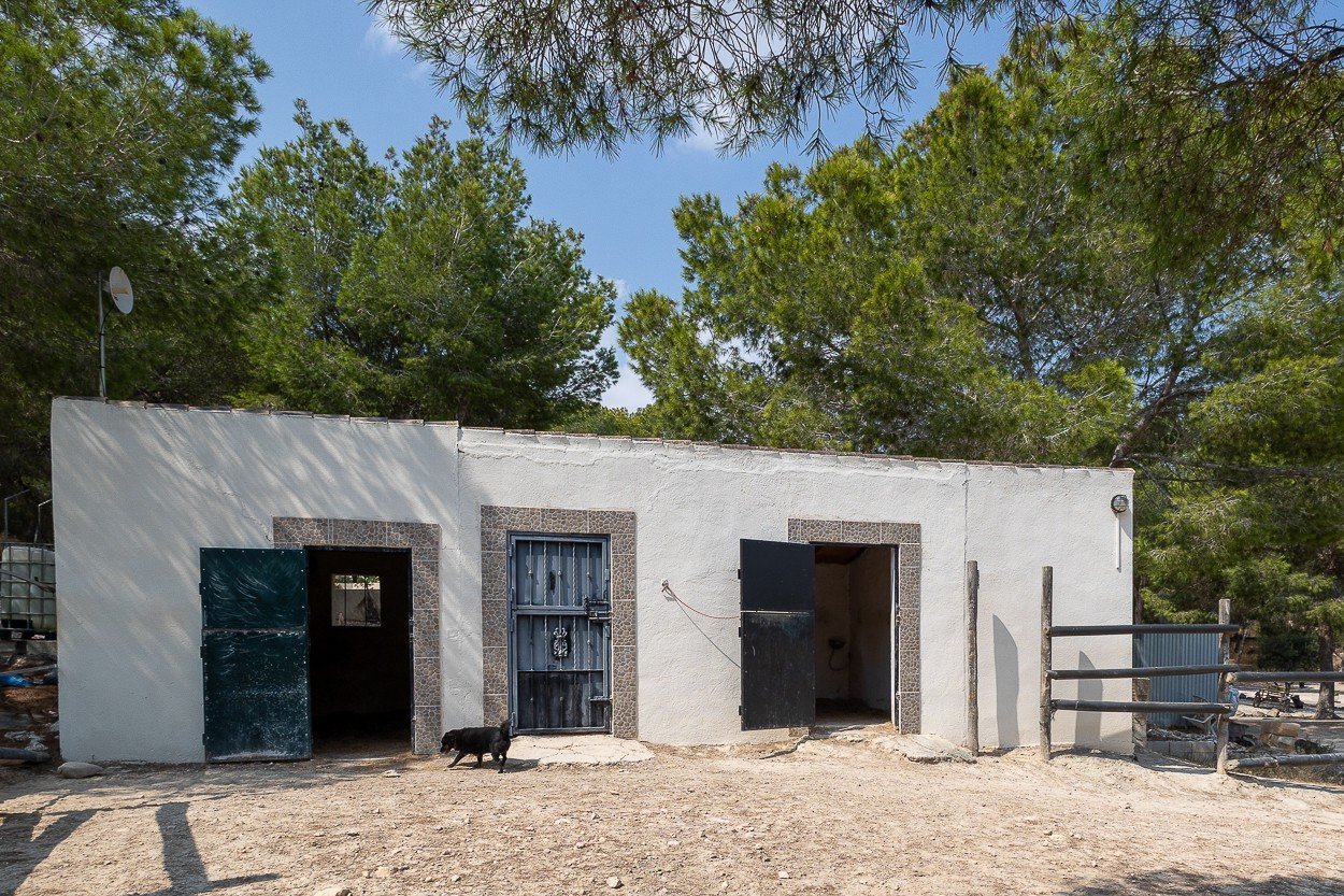 o_1j3g23t3061toc01l3e1kfr15765 4 Bedroom 2 Bathroom Country House in Torremendo - Caza De Casa
