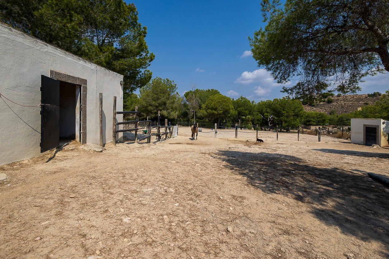o_1j3g23t30jav1pkkcnh78r1m9s69 4 Bedroom 2 Bathroom Country House in Torremendo - Caza De Casa