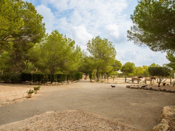 4 Bedroom 2 Bathroom Country House in Torremendo - Caza De Casa