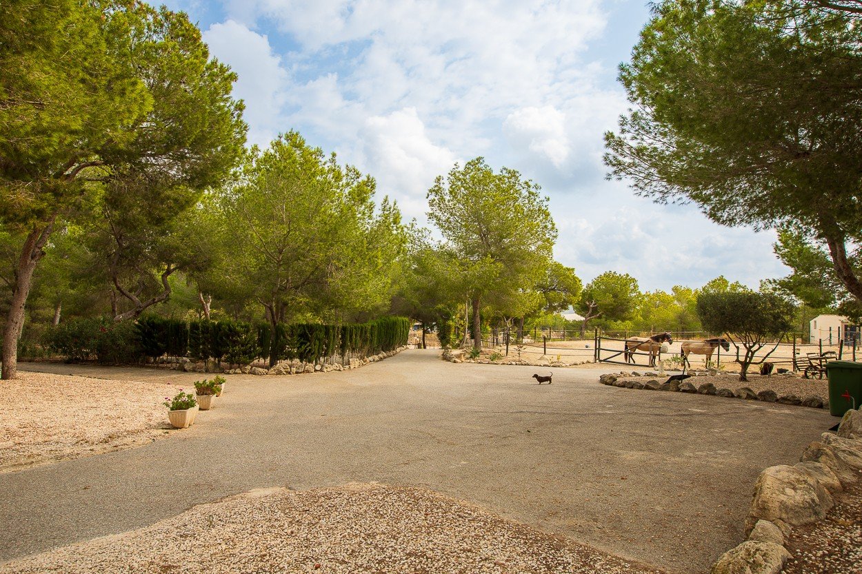 o_1j3g23t31tgs217g5815pr1mkm6g 4 Bedroom 2 Bathroom Country House in Torremendo - Caza De Casa