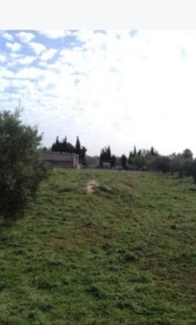 1 Bed Country House in Caudete - Caza De Casa