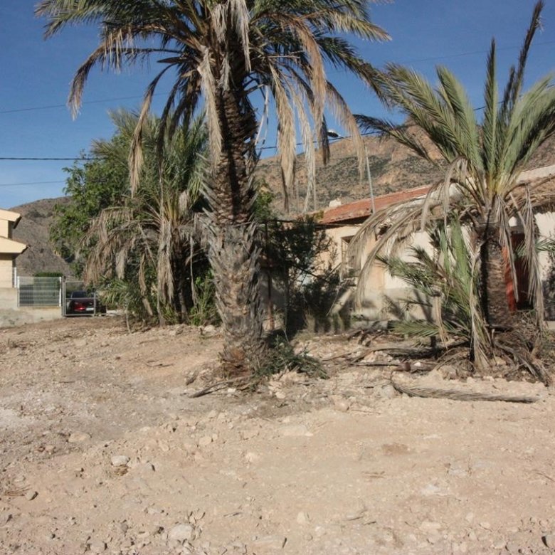 Country House in Orihuela - Caza De Casa