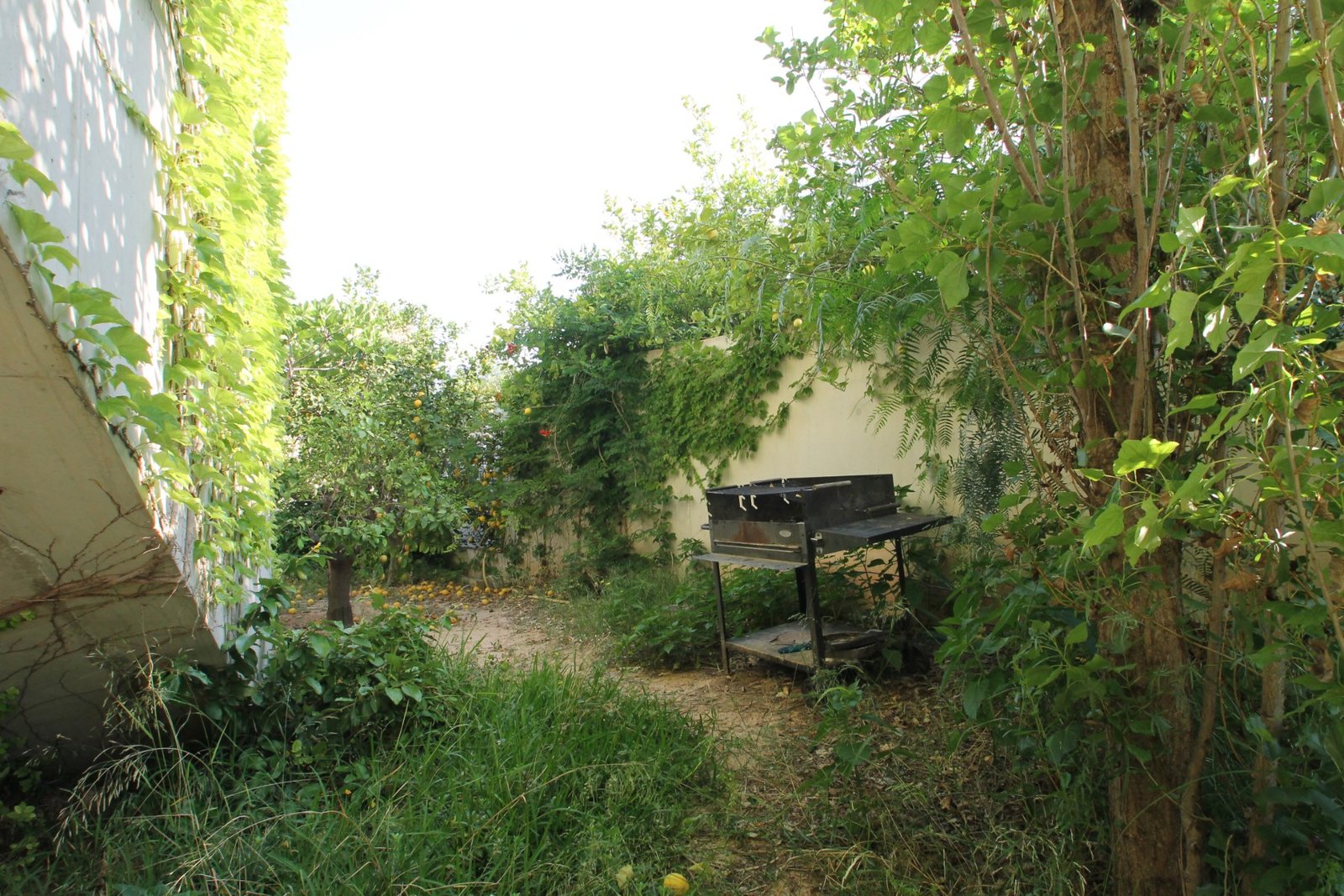 3 Bed 3 Bath Villa in San Vicente del Raspeig - Caza De Casa