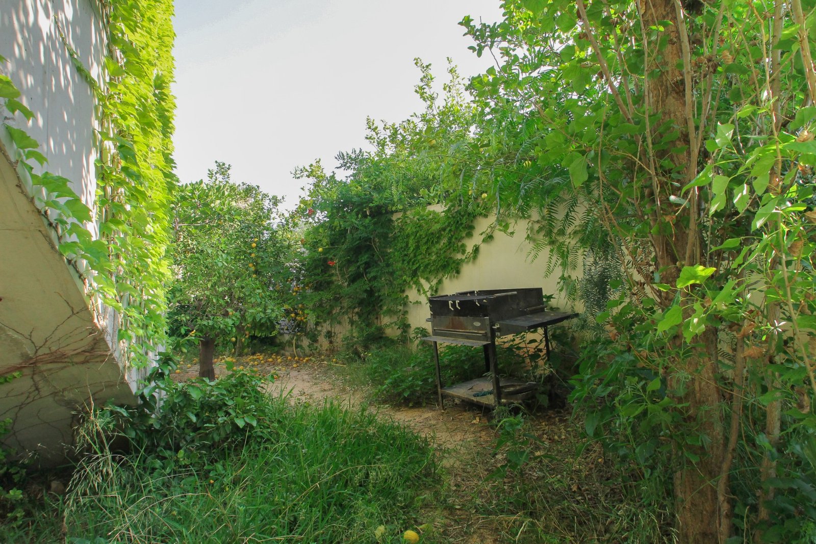3 Bed 3 Bath Villa in San Vicente del Raspeig - Caza De Casa