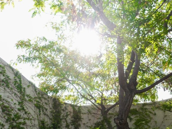 3 Bed 3 Bath Villa in San Vicente del Raspeig - Caza De Casa