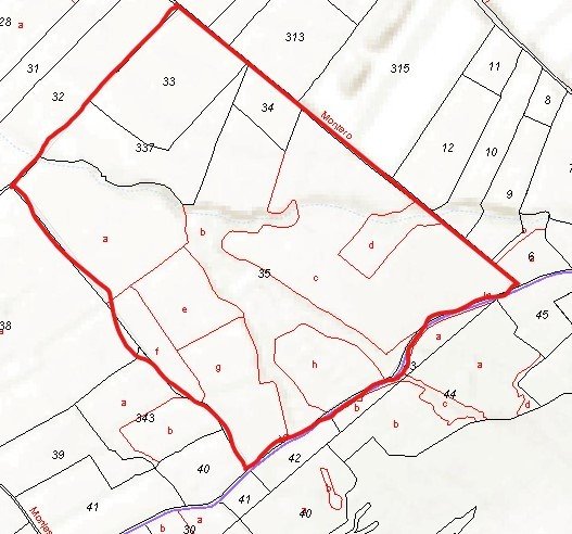 150,113 m² Land in Jumilla - Caza De Casa