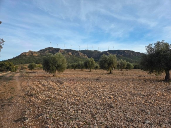 150,113 m² Land in Jumilla - Caza De Casa