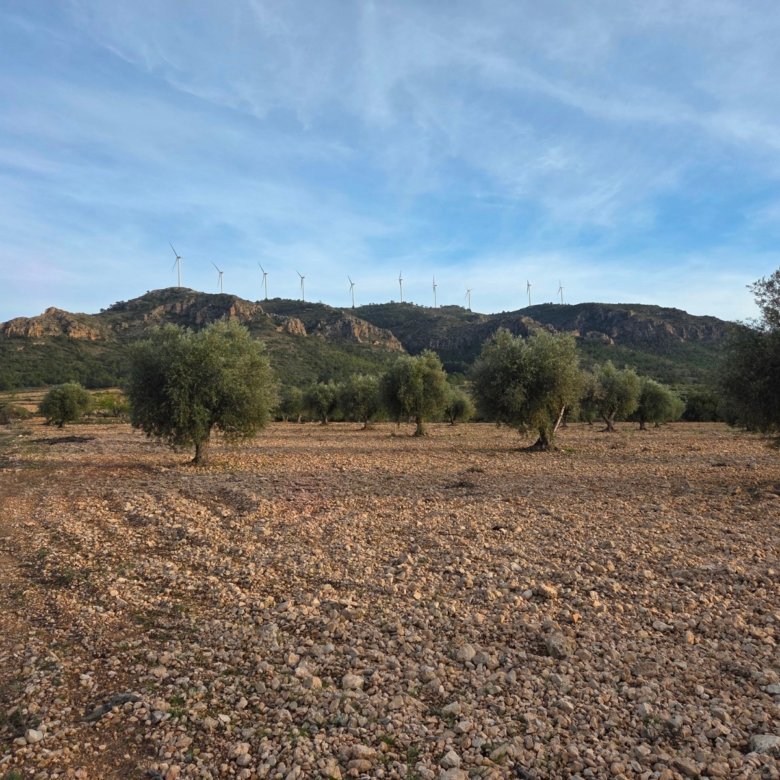 150,113 m² Land in Jumilla - Caza De Casa