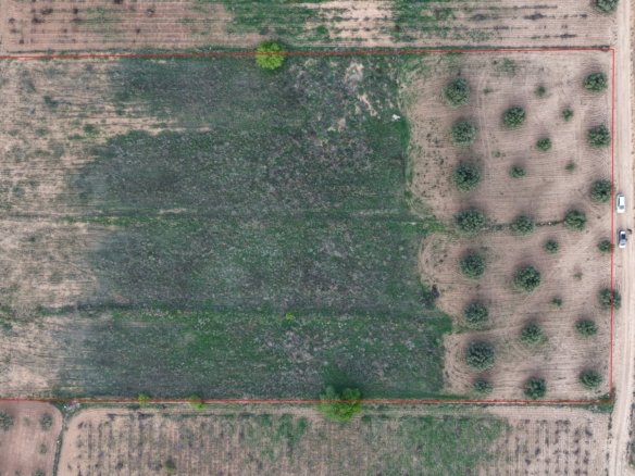 13,701 m² Land in Jumilla - Caza De Casa