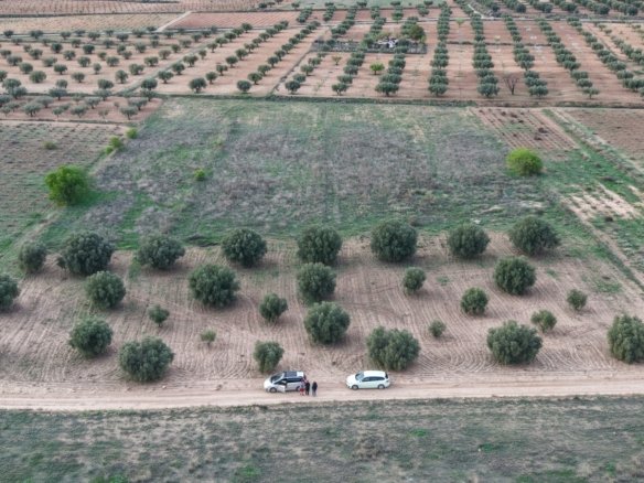 13,701 m² Land in Jumilla - Caza De Casa