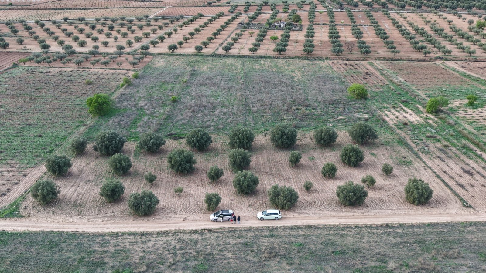 13,701 m² Land in Jumilla - Caza De Casa