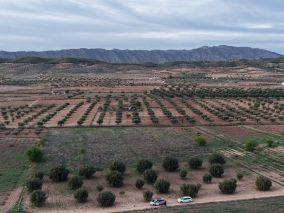 13,701 m² Land in Jumilla - Caza De Casa