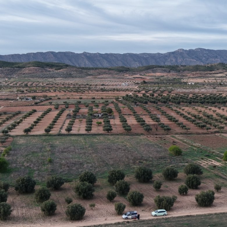 13,701 m² Land in Jumilla - Caza De Casa