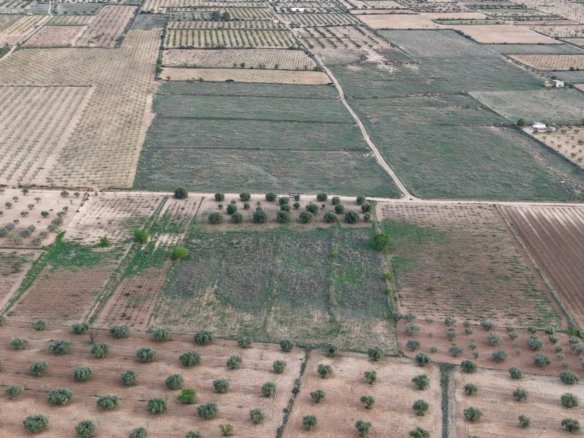 13,701 m² Land in Jumilla - Caza De Casa