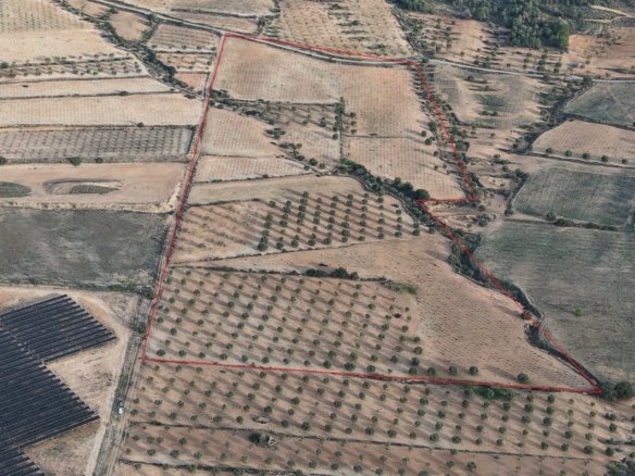 150,113 m² Land in Jumilla - Caza De Casa