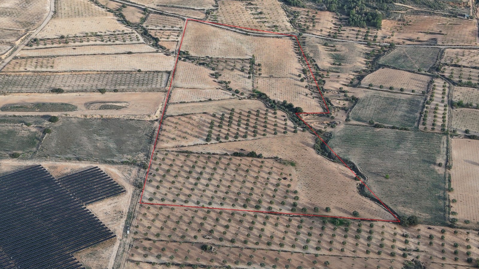 150,113 m² Land in Jumilla - Caza De Casa