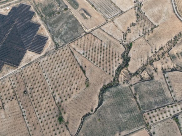 150,113 m² Land in Jumilla - Caza De Casa